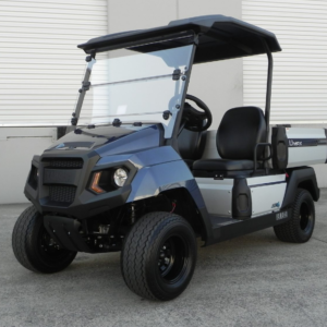 Buy 2026 Yamaha UMAX Golf Cart With Lithium Batteries