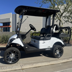 Buy 2019 Yamaha Personal Transportation Vehicle